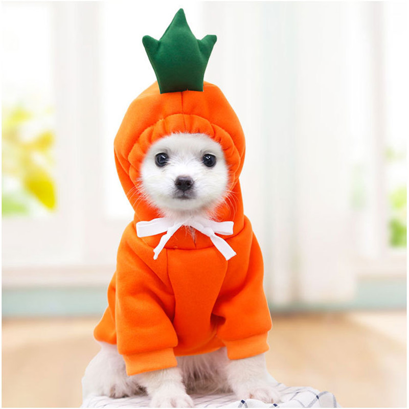 Winter Clothing Pictures - ผลไม้น่ารักเสื้อผ้าสุนัขสําหรับสุนัขขนาดเล็ก hoodies เสื้อผ้าสัตว์เลี้ยงที่อบอุ่น Puppy Cat เครื่องแต่งกายสําหรับภาษาฝรั่งเศสคํา
