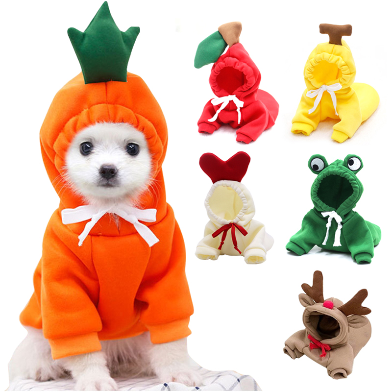 ผลไม้น่ารักเสื้อผ้าสุนัขสําหรั - Winter Clothing Pictures บทวิจารณ์และราคา