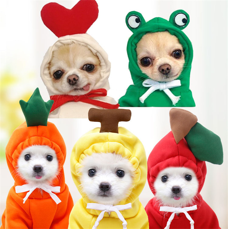 ผลไม้น่ารักเสื้อผ้าสุนัขสําหรั - Winter Clothing Pictures บทวิจารณ์และราคา