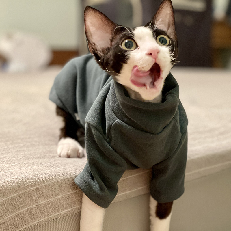 Sphynx Cat เสื้อผ้าเด็กผ้าฝ้าย - Winter Clothing For Toddlers บทวิจารณ์และราคา